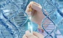 西安试管冻胚移植费用大概多少，试管移植冻囊胚费用清单出炉