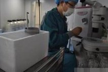 2026扎兰屯市最新男性陪产假有多少天？试管婴儿可以增加产假吗？